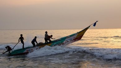 Photo of நேற்று முதல் தூத்துக்குடி மாவட்ட விசைப்படகு மீனவர்கள் கடலுக்கு சென்றனர்:  எதிர்பார்த்த அளவு மீன்கள் கிடைக்காததால் ஏமாற்றம்.