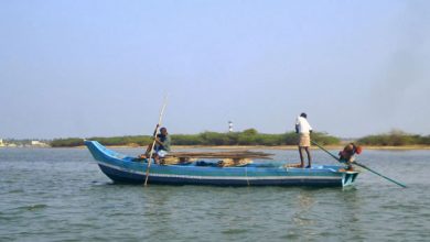 Photo of பழவேற்காடு ஏரியில் நிரந்தர கடலரிப்பு தடுப்பான்கள்…