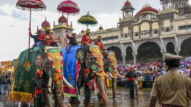 Photo of குலசை தசரா விழா: கடும் கட்டுப்பாடுகளால் வியாபாரிகள் ஏமாற்றம்